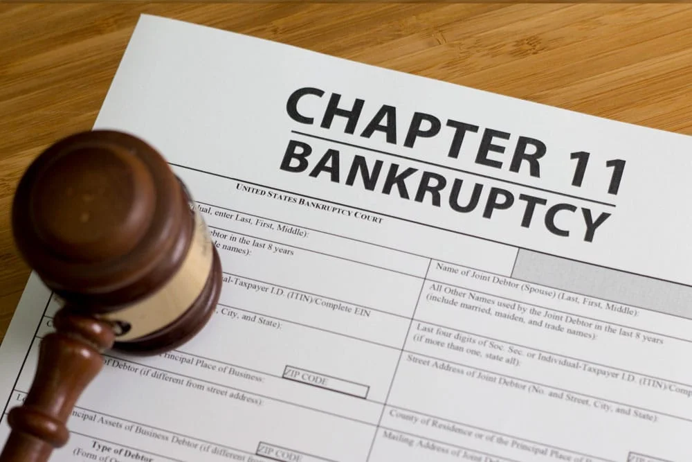 Chapter 11 Bankruptcy for Individuals - Limbocker Law Firm
